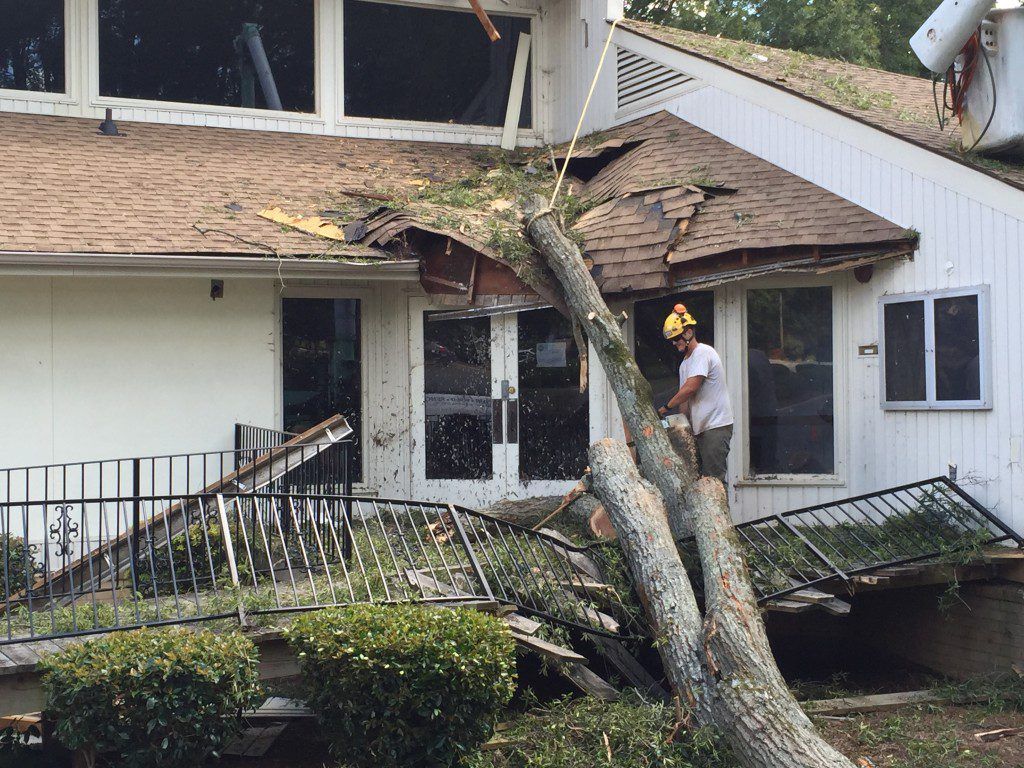 How to Prevent Mold After Storm Damage