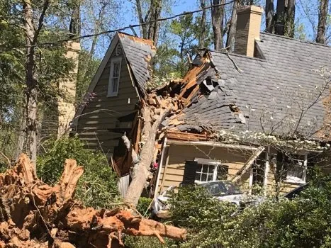 How Mesa’s Monsoon Season Impacts Storm Damage Restoration in the Valley