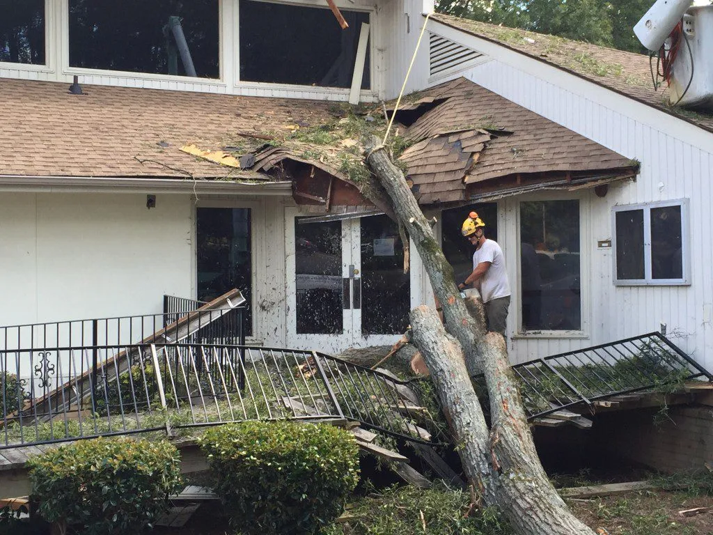 How to Prevent Mold After Storm Damage