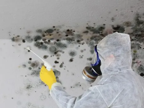 Preventative Maintenance to Avoid Storm-Related Water Damage