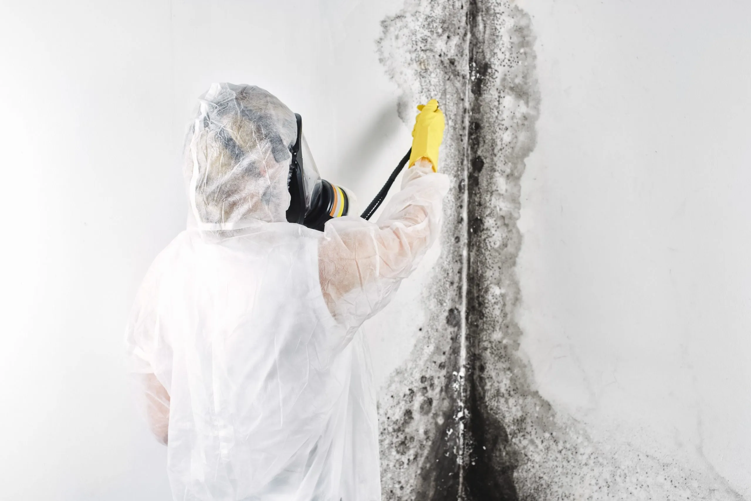 Water Damage Isn’t Just “Wet”: Understanding the Hidden Threats in Mesa, AZ