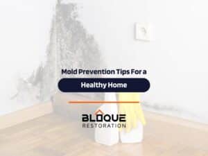 Mold Prevention Tips For a Healthy Home