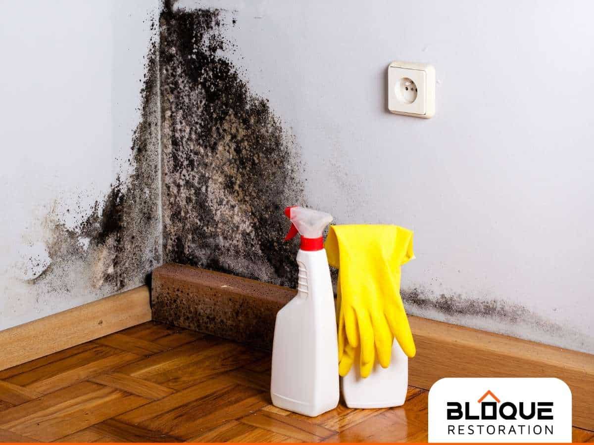 Mold prevention concept showing a spray bottle and yellow gloves against a wall with a significant mold infestation, indicating the need for restoration services