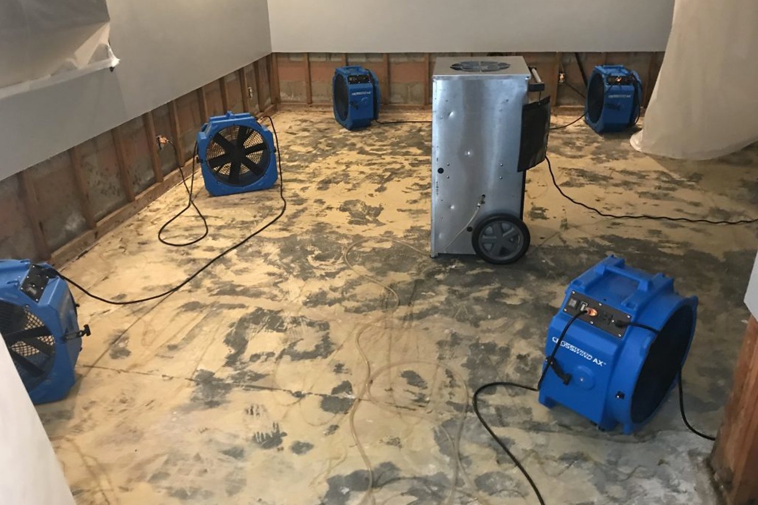 Restoration For Mold Damage Removal Mesa AZ