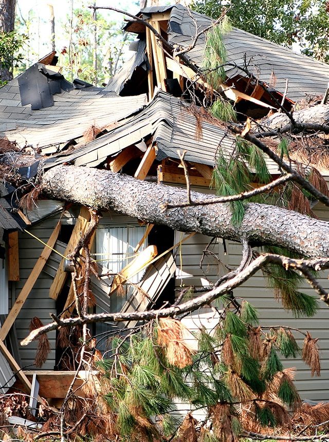 A large pine tree trunk has fallen directly onto a house, completely destroying and collapsing the roof and parts of the exterior wall, with debris and branches scattered around.