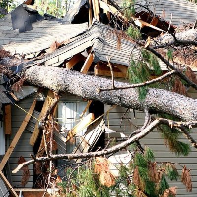 A large pine tree trunk has fallen directly onto a house, completely destroying and collapsing the roof and parts of the exterior wall, with debris and branches scattered around.